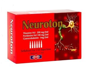 Neuroton
