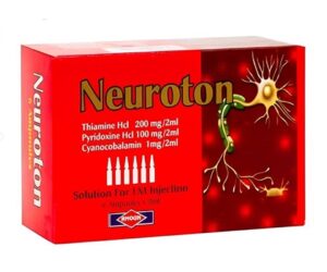 Neuroton