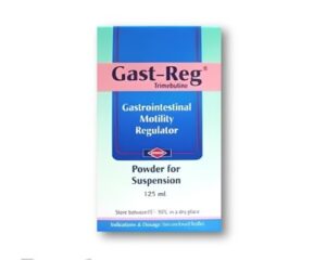 Gast-Reg