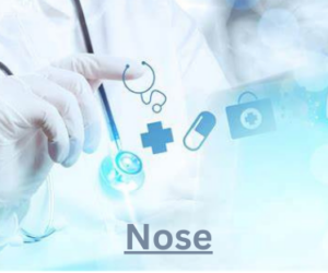 Nose
