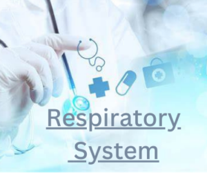 Respiratory System