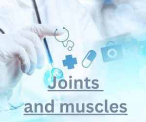 Joints and muscles