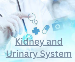 Kidney and Urinary System