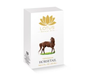 Lotus Horsetail oil